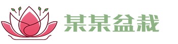 江南手机网页版 - 江南（中国）官方